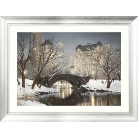 Artwork Central Park Winter