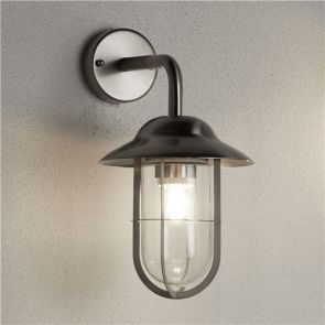  1 Light Outdoor Pendant, Satin Silver, Clear Glass BPOSL614