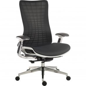 Bfs Office Chairs Irvine Mesh Executive