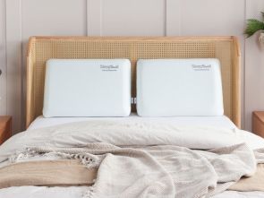 SleepSoul Dual Pillow