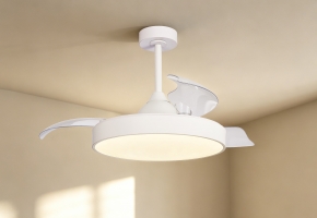 Ceiling Fans