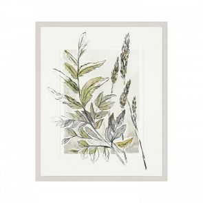 Artwork Royal Fern