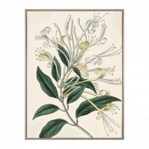 Artwork Flourishing Foliage