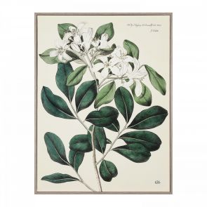 Artwork Foliage and Blooms