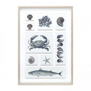 Artwork Coastal Collection