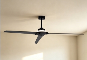 Ceiling Fans