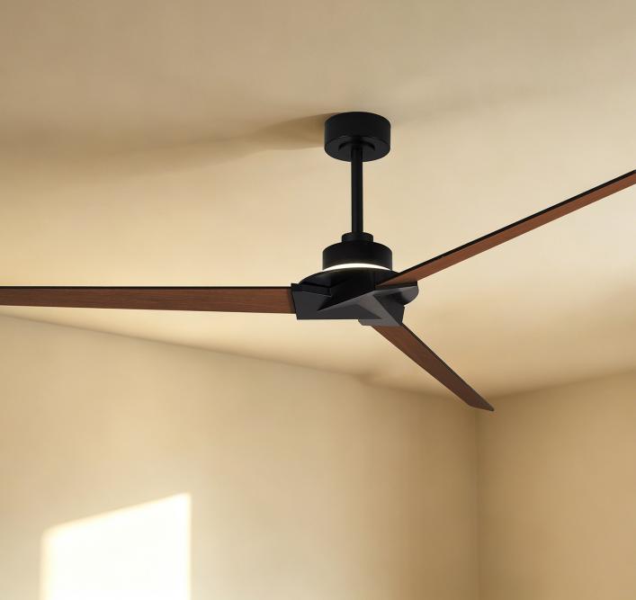 Fan LIghts
